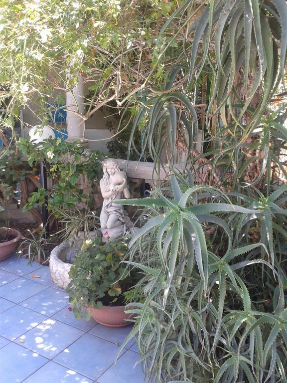 B&B Albatros Lipari  Luaran gambar