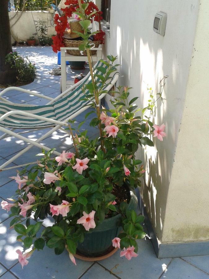 B&B Albatros Lipari  Luaran gambar