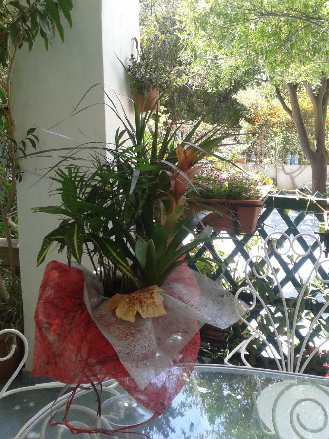 B&B Albatros Lipari  Luaran gambar
